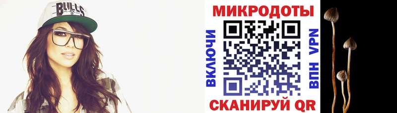 Псилоцибиновые грибы Psilocybe  как найти наркотики  Новоалтайск 