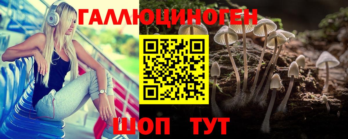 Новоалтайск  Галлюциногенные грибы ЛСД  Галлюциногенные грибы Psilocybe  Вход с VPN 